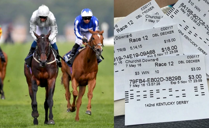 Overview of horse racing betting
