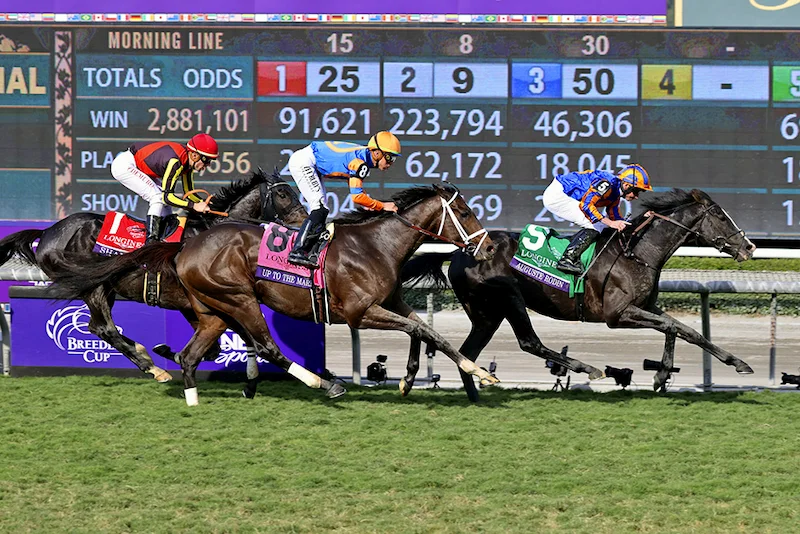 Detailed instructions on horse racing betting for beginners