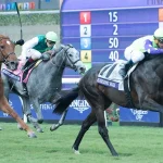 Tips for effective horse racing betting