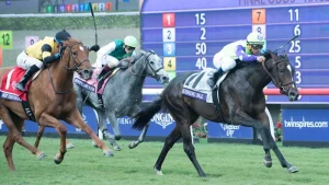 Tips for effective horse racing betting